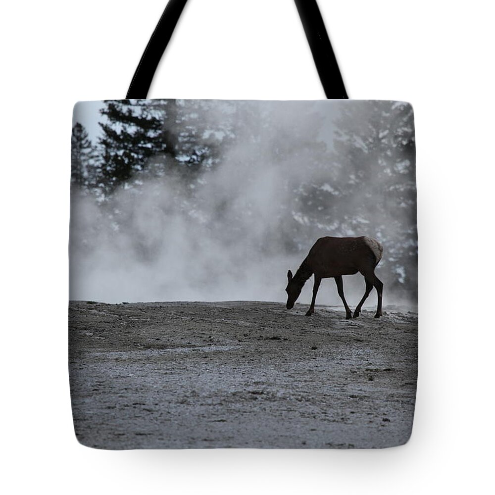 Yellowstone National Park Tote Bag featuring the photograph Yellowstone 5456 by Michael Fryd