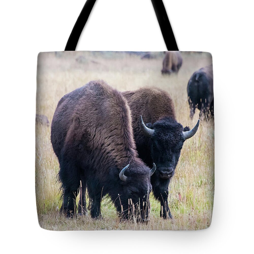 Bison Tote Bag featuring the photograph Yellowstone Bison by Jennifer Ancker