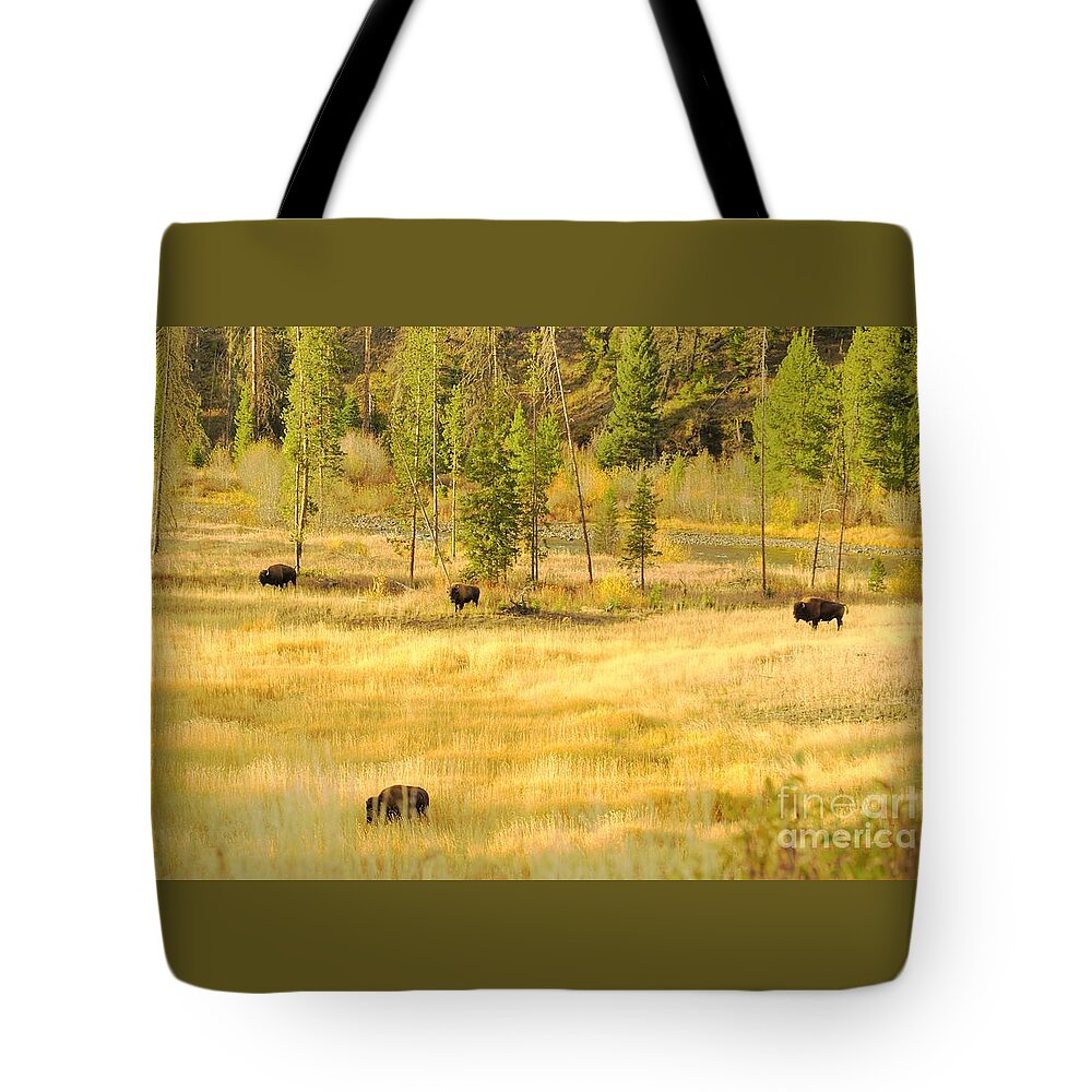 Yellowstone National Park Tote Bag featuring the photograph Yellowstone Bison by Merle Grenz