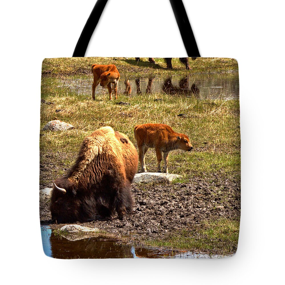 Bison Tote Bag featuring the photograph Yellowstone Bison Reflections by Adam Jewell
