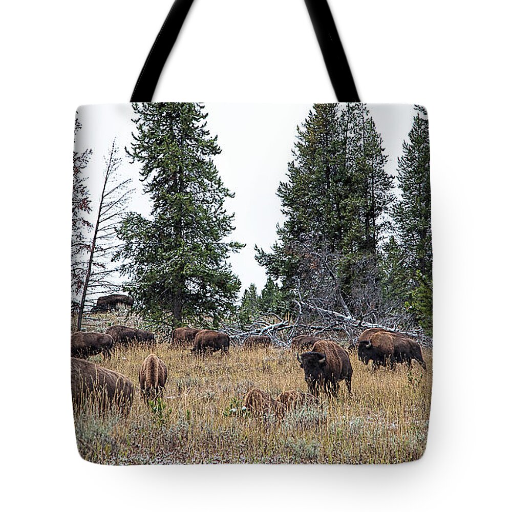 Yelowstone Tote Bag featuring the photograph Yellowstone Buffalo by Jim Garrison