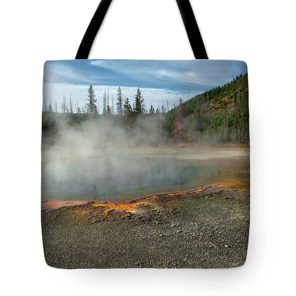 Yellowstone Tote Bag featuring the photograph Yellowstone Colors #5 by Scott Read