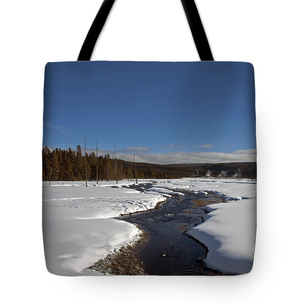 Yelllowstone Tote Bag featuring the photograph Yellowstone6178 by Cindy Murphy - NightVisions