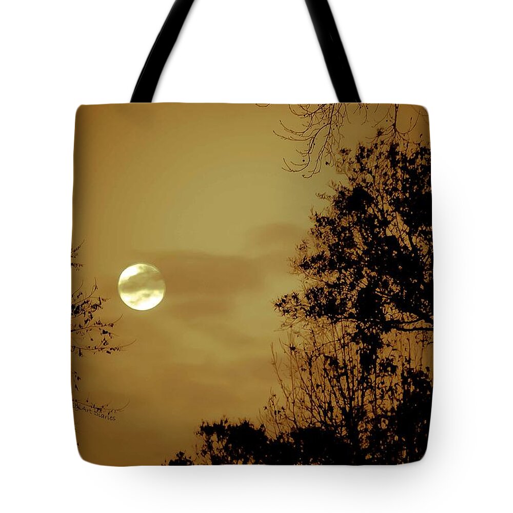 Moon Tote Bag featuring the photograph Yesteryears Moon by DigiArt Diaries by Vicky B Fuller