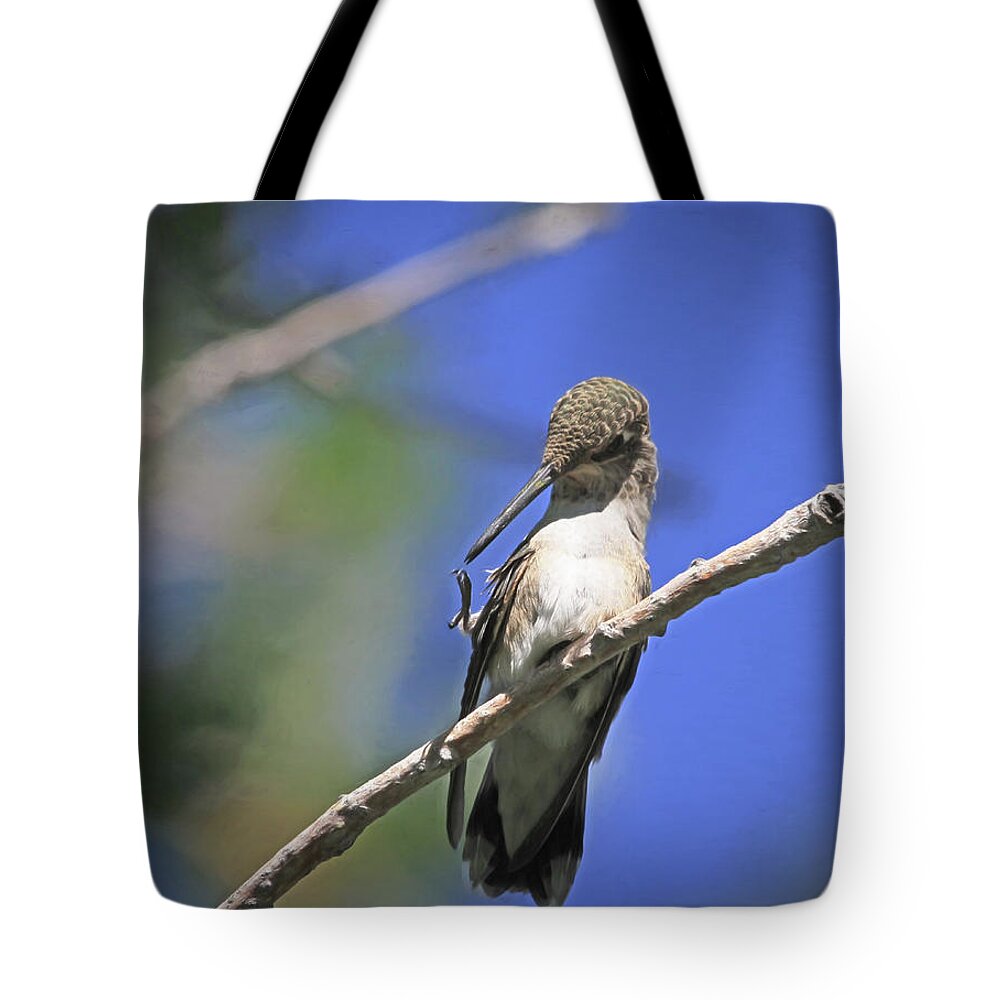 Black-chinned Hummingbird Tote Bag featuring the photograph Yikes - I Need A Manicure  by Donna Kennedy