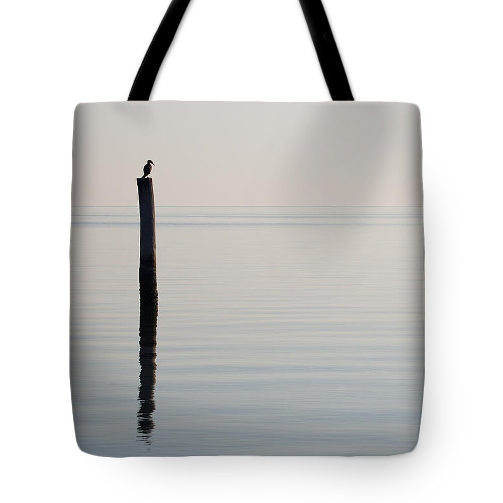 Water Tote Bag featuring the photograph Yorktown Cormorant at Daybreak by Rachel Morrison