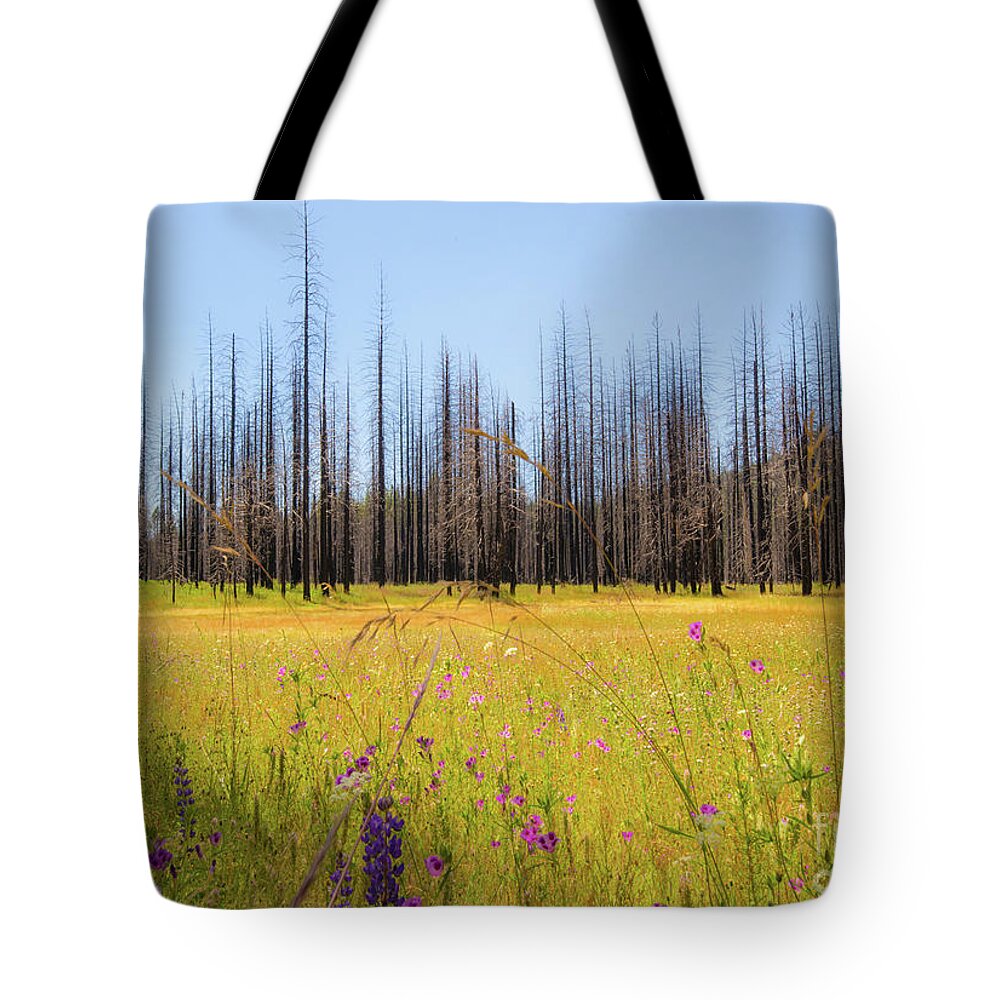 Yosemite Juxtaposition By Michael Tidwell Tote Bag featuring the photograph Yosemite Juxtaposition by Michael Tidwell by Michael Tidwell