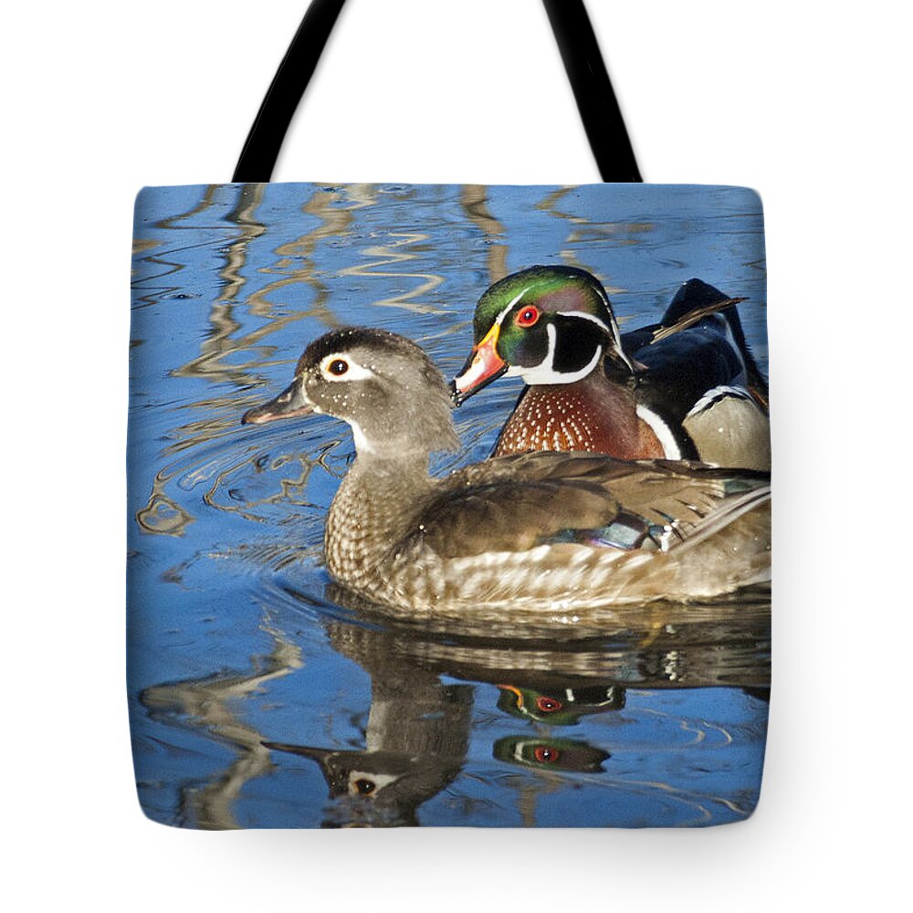 Wood Duck Tote Bag featuring the photograph You are my Valentine by Asbed Iskedjian