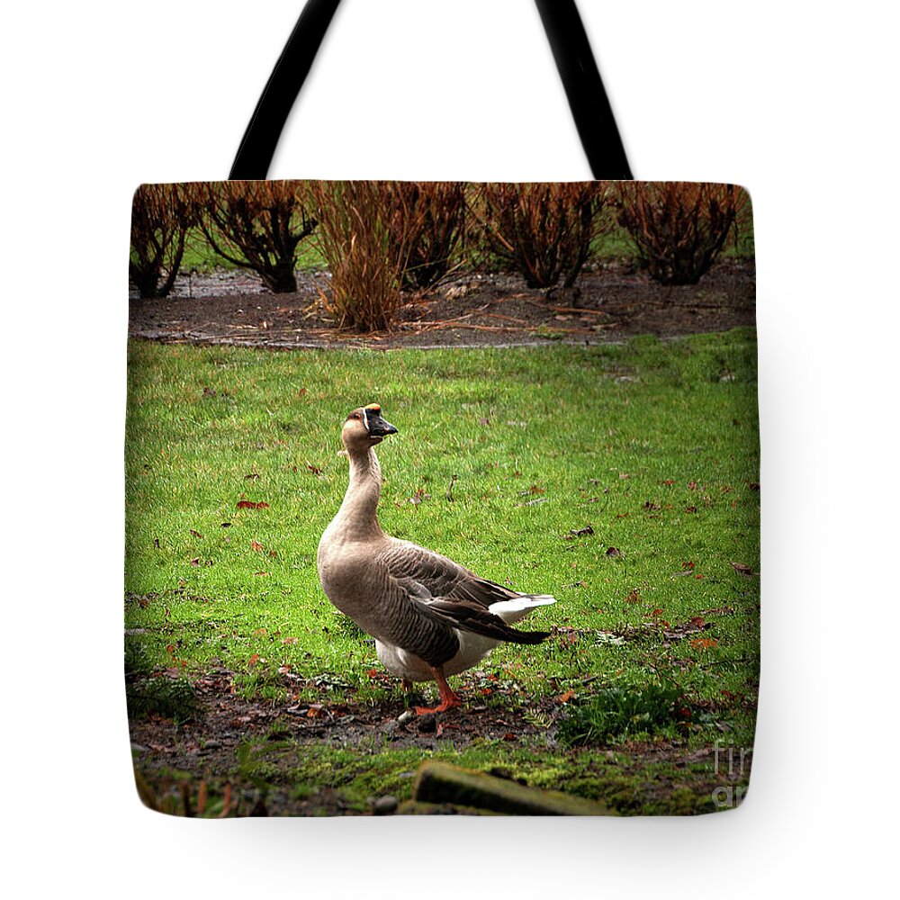 You Called Tote Bag featuring the photograph You Called? by Victoria Harrington