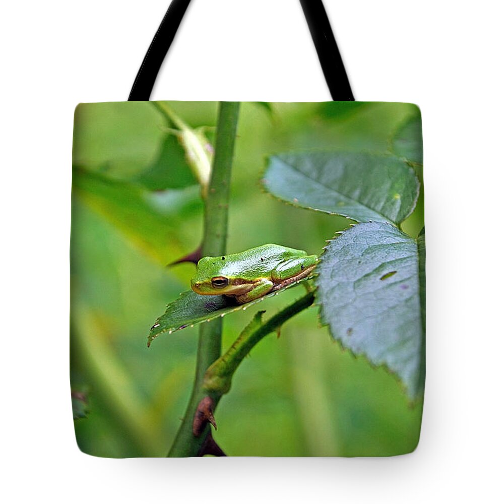 Animal Tote Bag featuring the photograph You Can Not See Me by Kenneth Albin