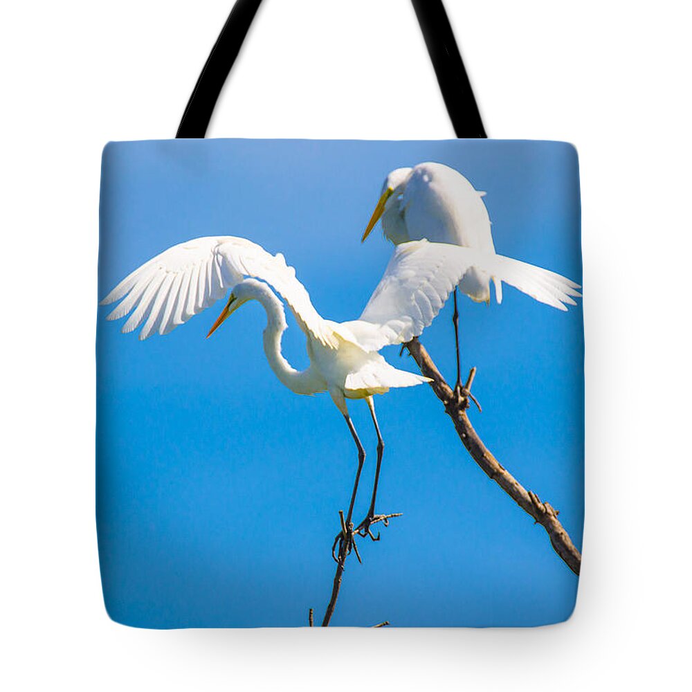 06sep15 Tote Bag featuring the photograph You really do not want to land there by Jeff at JSJ Photography