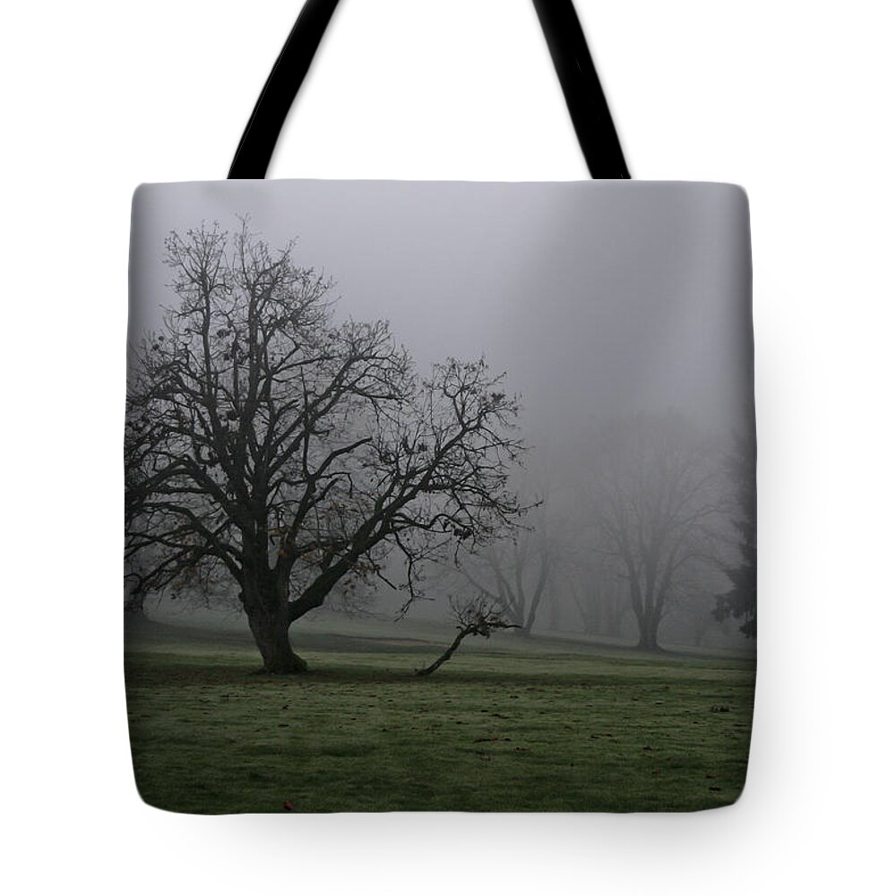 Fog Tote Bag featuring the photograph Your Tail is Showing by Albert Seger