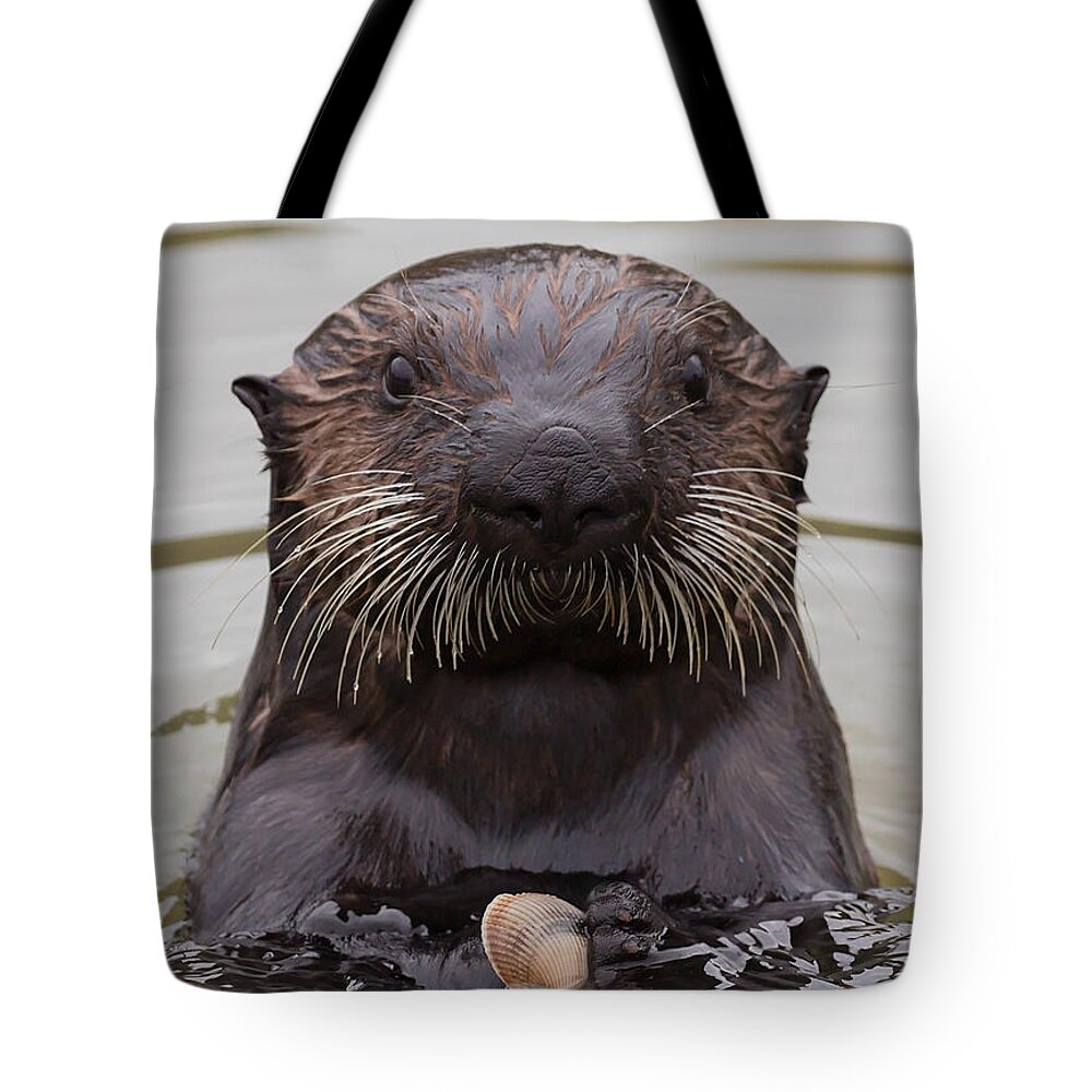 Sea Tote Bag featuring the photograph You're Interrupting My Lunch by Deana Glenz