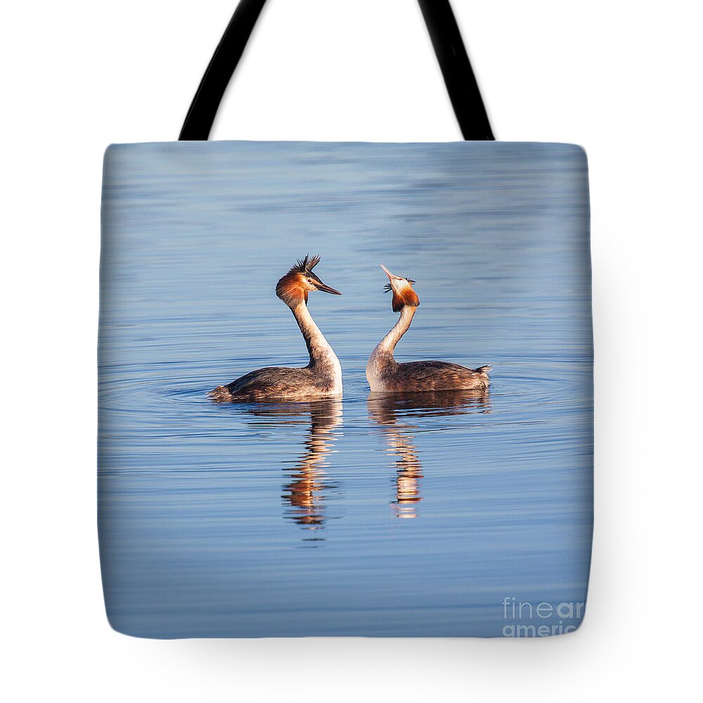 Fuut Tote Bag featuring the photograph You're kidding by Casper Cammeraat