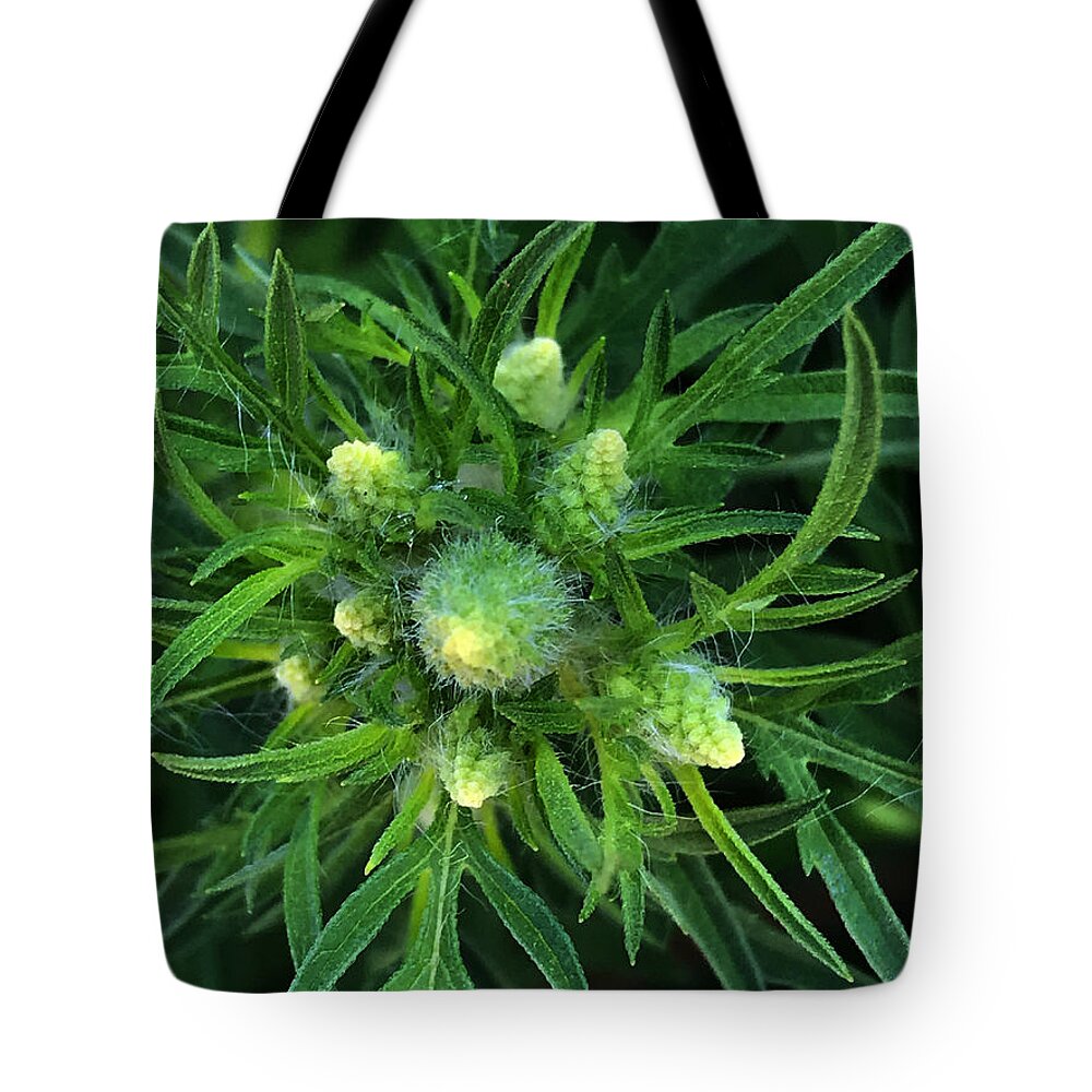 Art Tote Bag featuring the photograph You've Still Got a Place in My Heart by Jeff Iverson