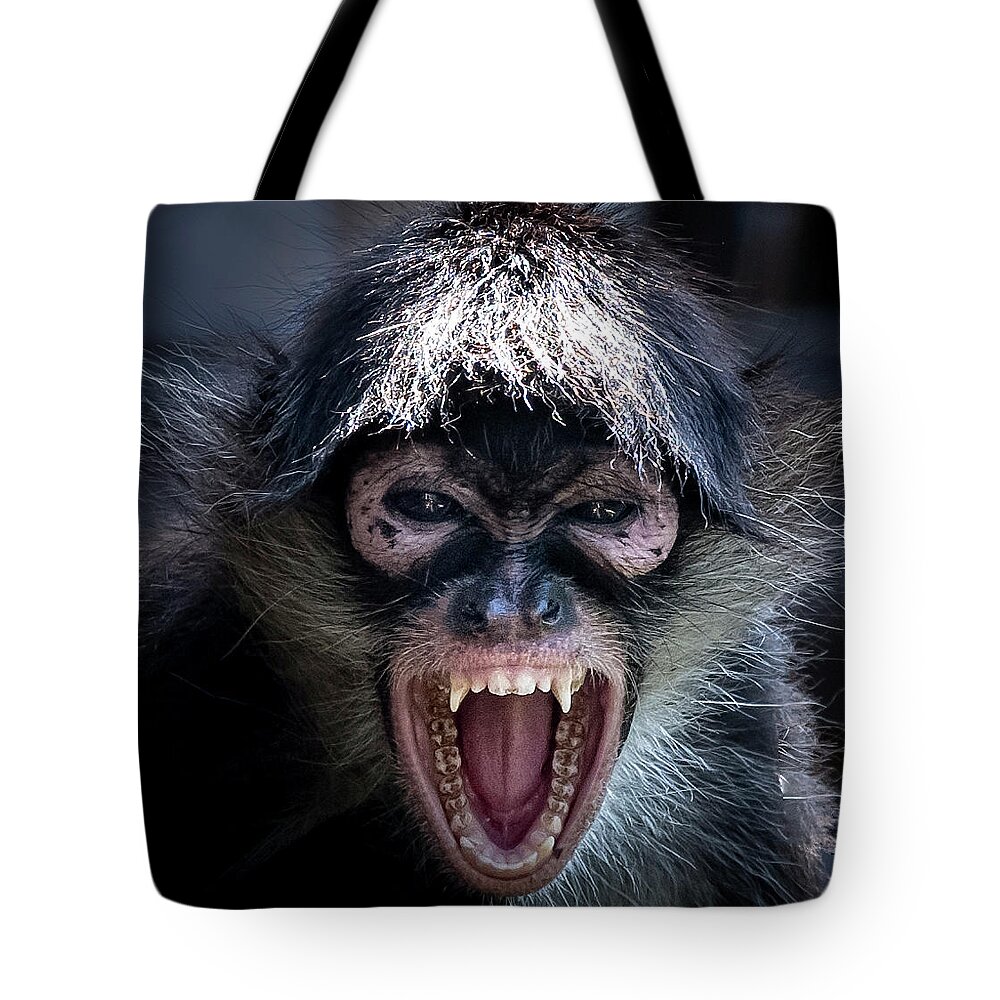 Monkey Tote Bag featuring the photograph Yucatan Monkey by Dean Ginther