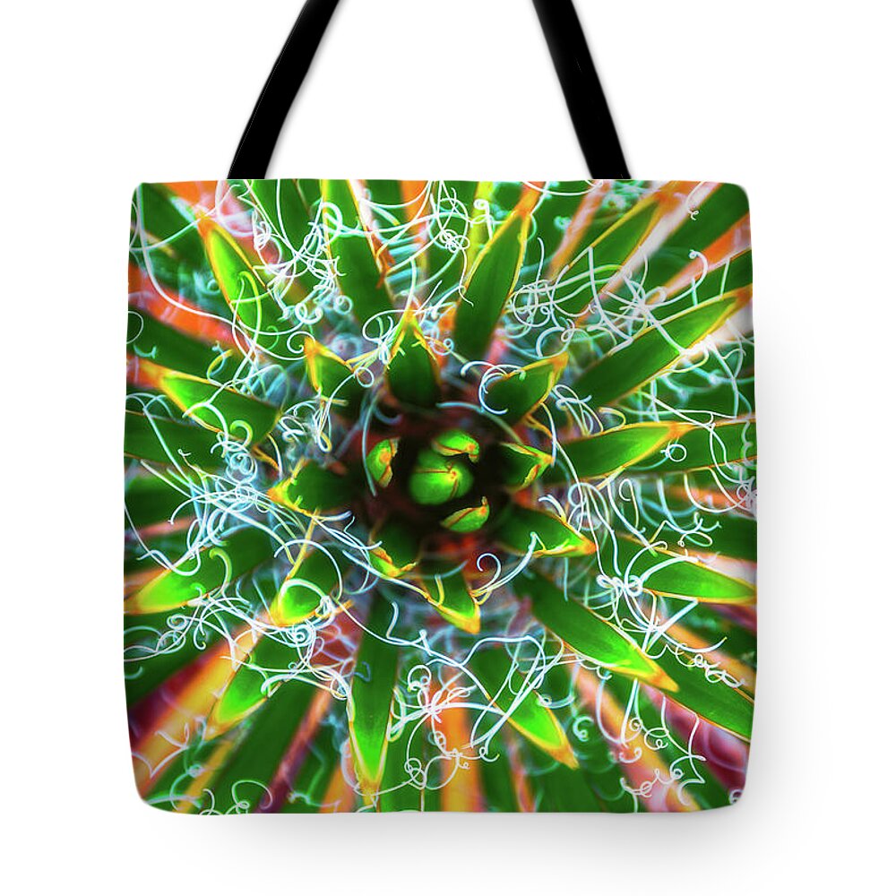 Abstract Tote Bag featuring the photograph Yucca Sunrise by Darren White