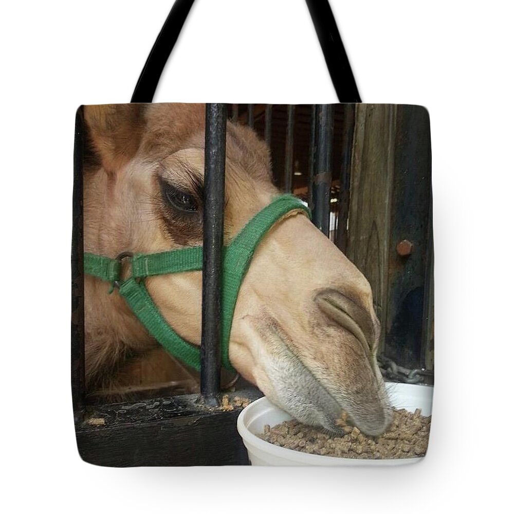 Camel Tote Bag featuring the photograph Yum by Ali Baucom