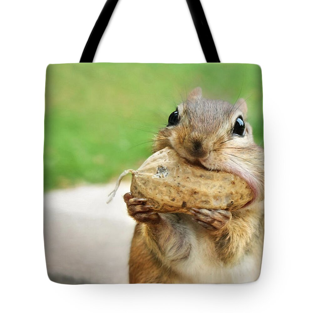 Chipmunk Tote Bag featuring the photograph Yummy by Lori Deiter