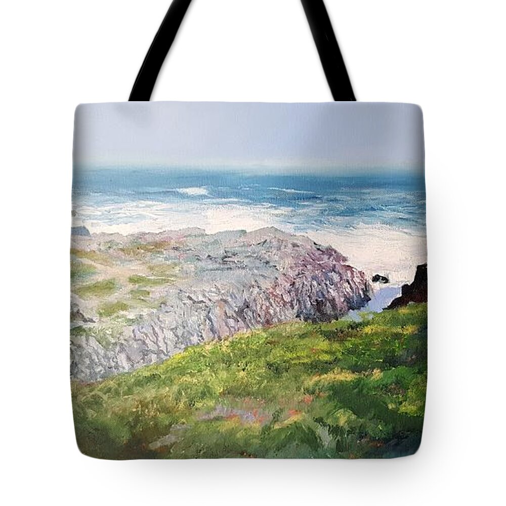 Yzerfontein Tote Bag featuring the painting Yzerfontein Oggend by Tim Johnson