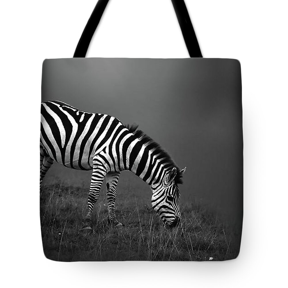 Wild Tote Bag featuring the photograph Zebra by Charuhas Images