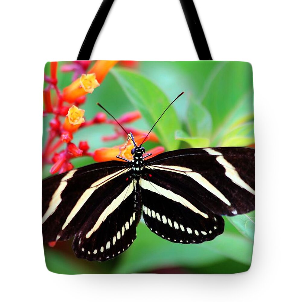 Zebra Longwing Butterfly Tote Bag featuring the photograph Zebra Longwing Butterfly by Carol Montoya