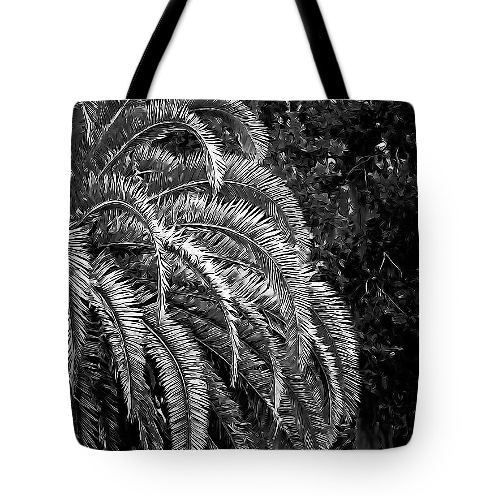 Palm Tree Tote Bag featuring the photograph Zebra Palm by DigiArt Diaries by Vicky B Fuller