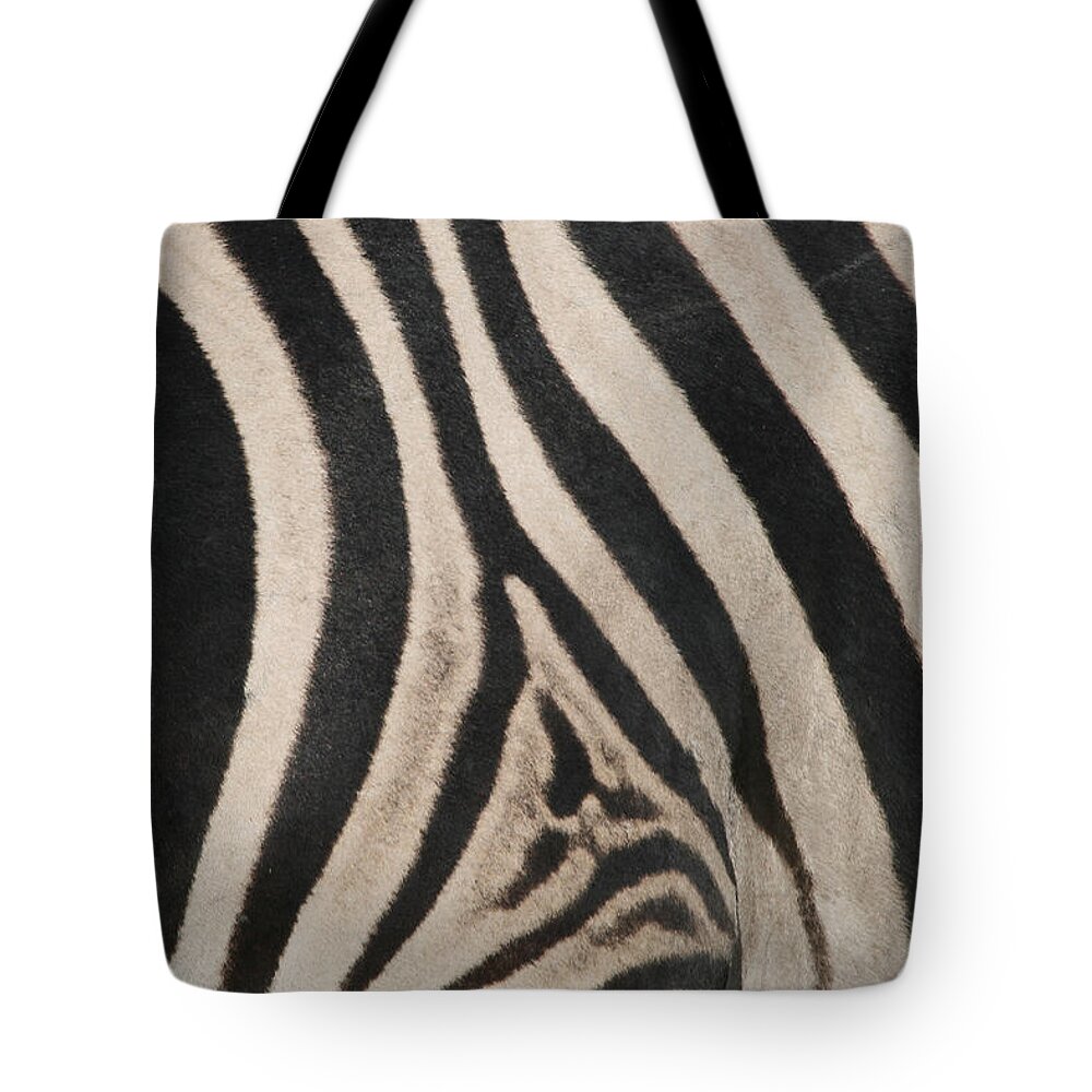 Zebra Tote Bag featuring the photograph Zebra Stripes by Bruce J Robinson