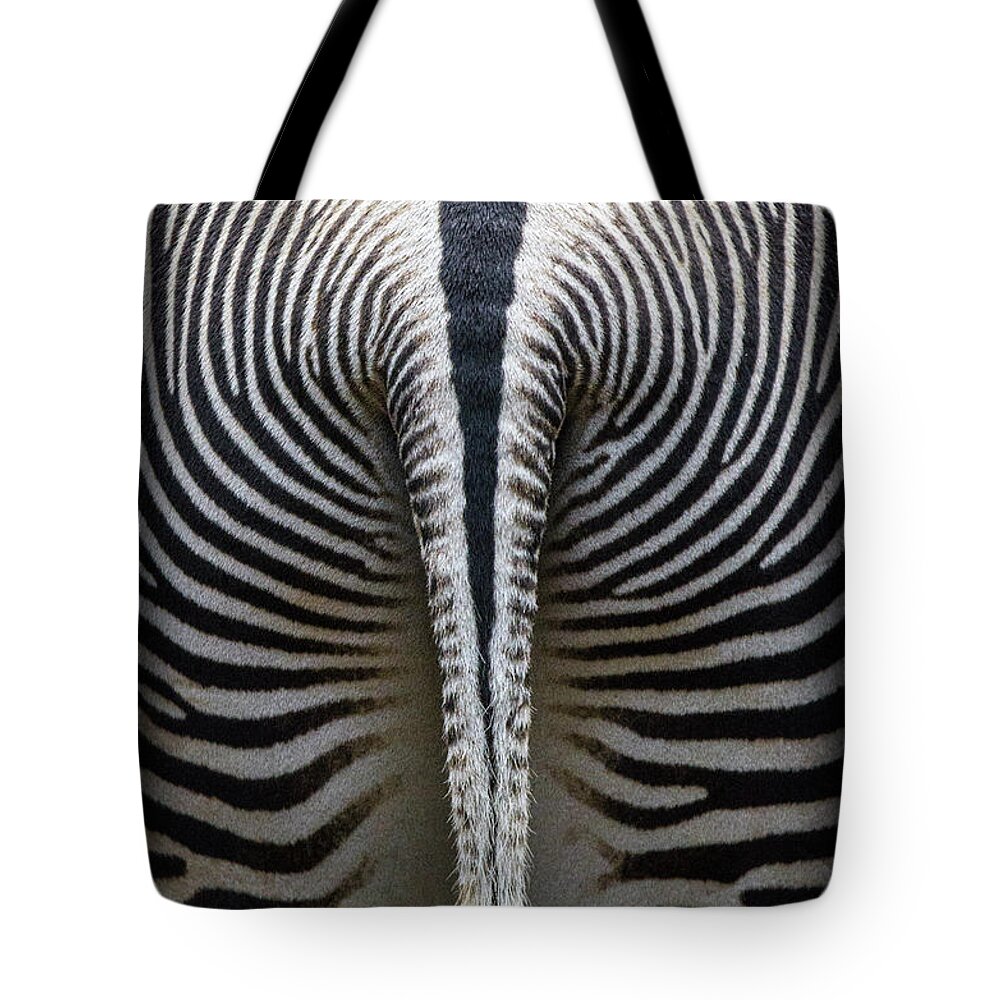 Zebra Tote Bag featuring the photograph Zebra Stripes by Heiko Koehrer-Wagner