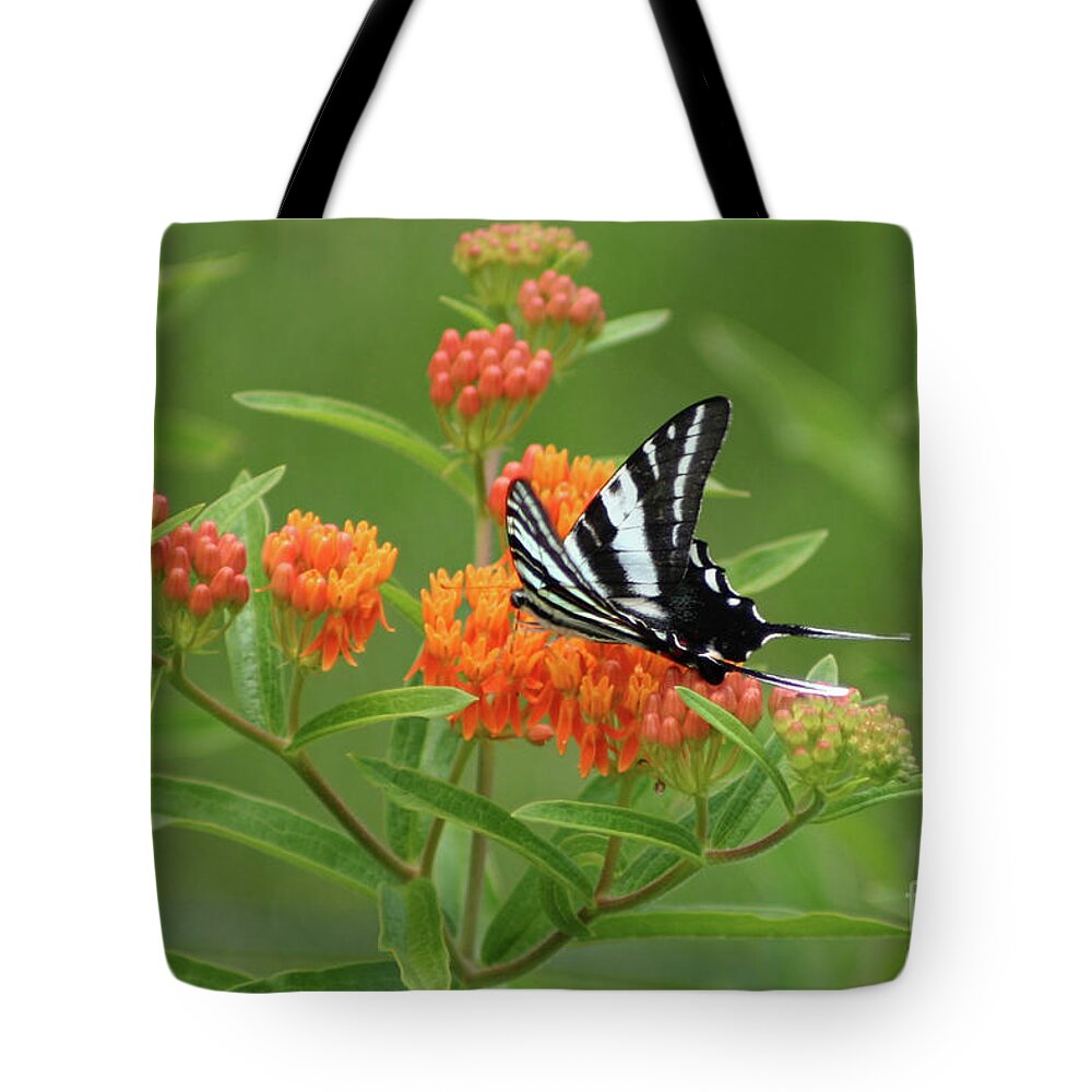 Zebra Swallowtail Butterfly Tote Bag featuring the photograph Zebra Swallowtail Butterfly 15264_v1 by Robert E Alter Reflections of Infinity