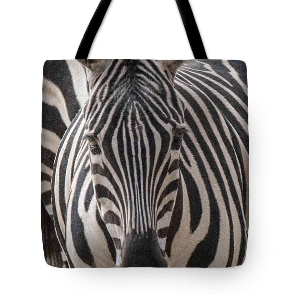 Zebra Tote Bag featuring the photograph Zebra by William Bitman