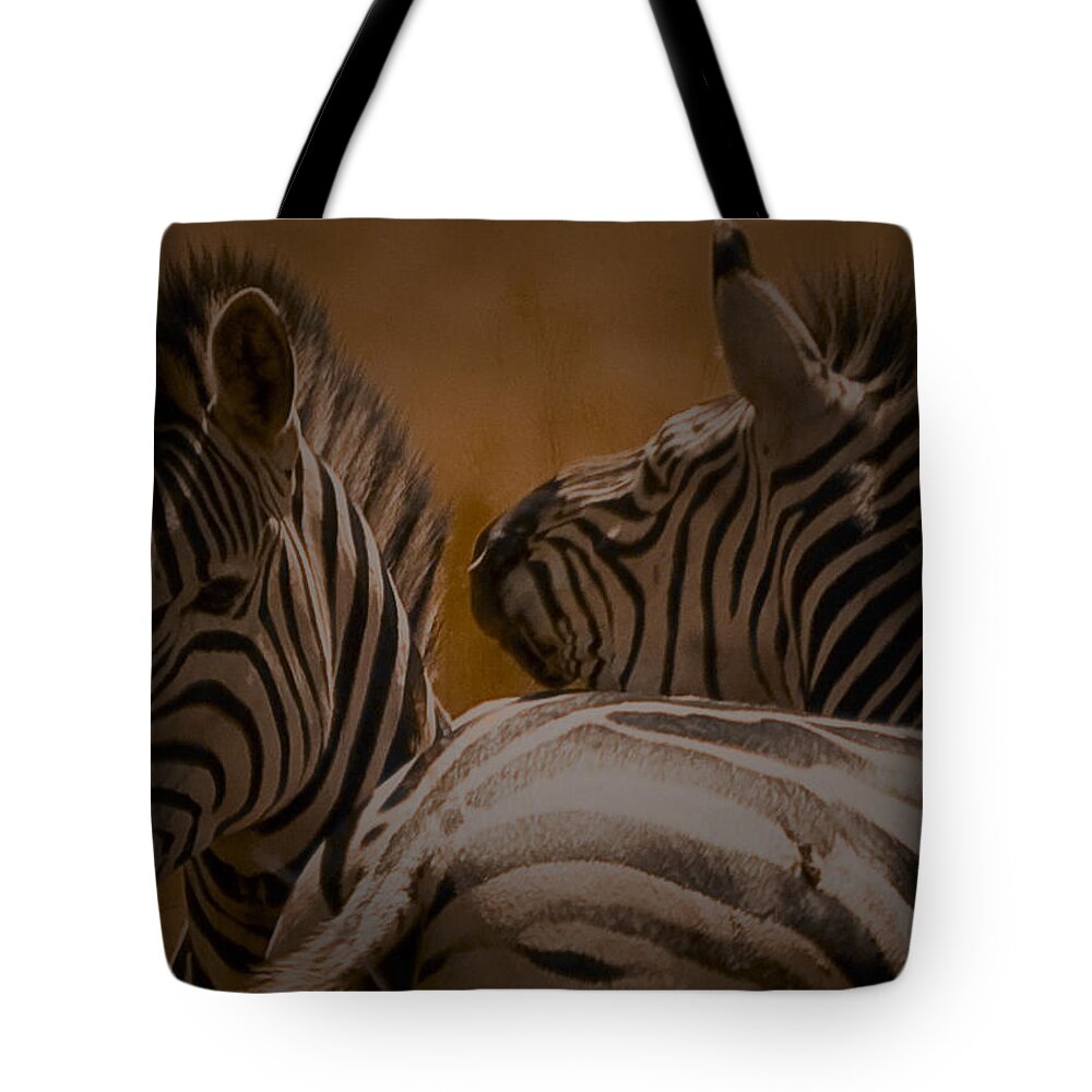 Animals Tote Bag featuring the photograph Zebras at play by Patrick Kain