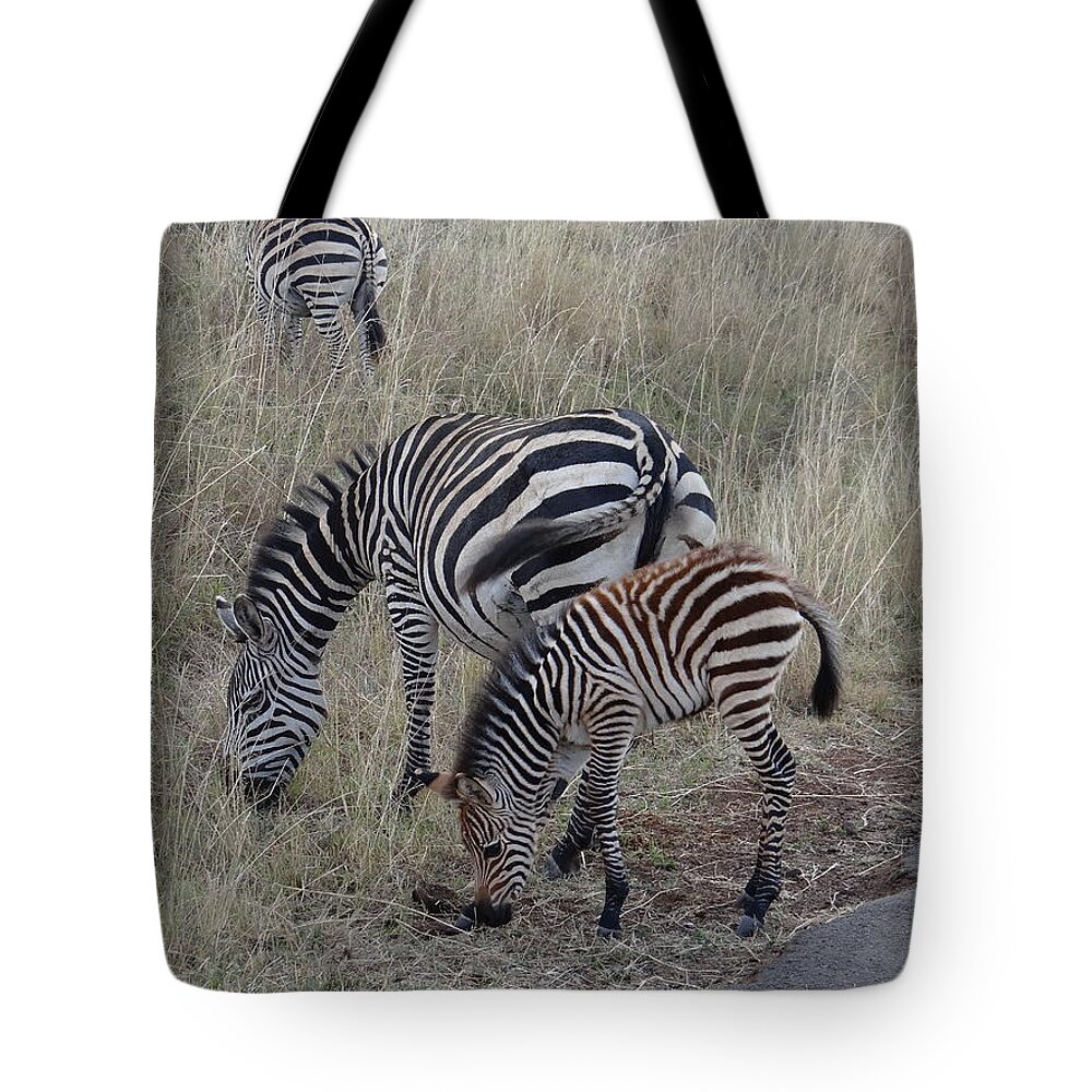 Exploramum Tote Bag featuring the photograph Zebras in Kenya 1 by Exploramum Exploramum