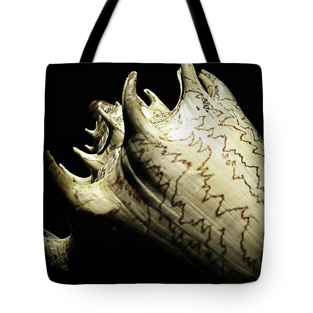 Seashell Tote Bag featuring the photograph Zigzag Shell on Black by Nadalyn Larsen