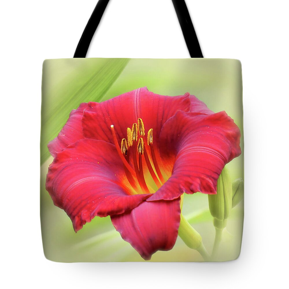 Little Zinger Daylily Tote Bag featuring the photograph Zinger - Daylily by MTBobbins Photography