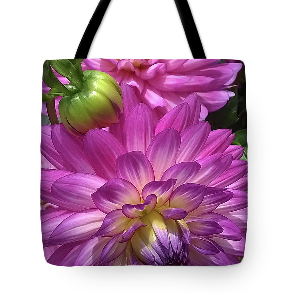 Duane Mccullough Tote Bag featuring the photograph Zinna Pink 2 by Duane McCullough