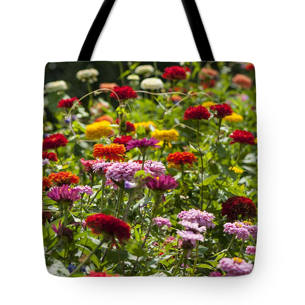 Beallesville Tote Bag featuring the photograph Zinniapaloosa by Brian Green