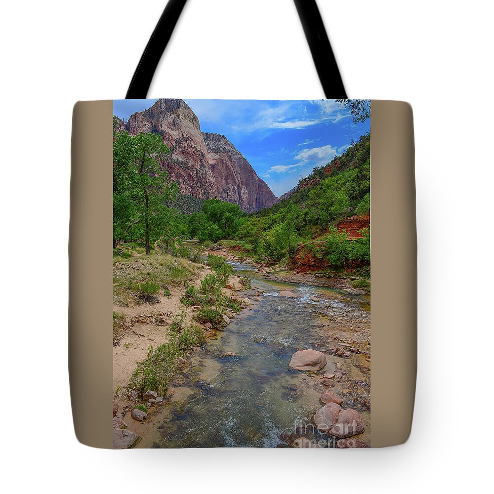 River Tote Bag featuring the photograph Zion Virgin River by Barry Bohn