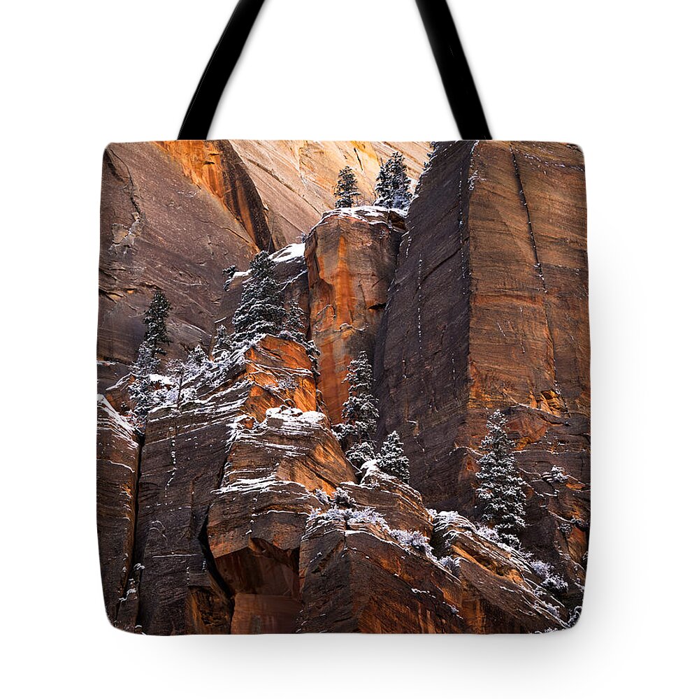 Zion Tote Bag featuring the photograph Zion Staircase by Dustin LeFevre