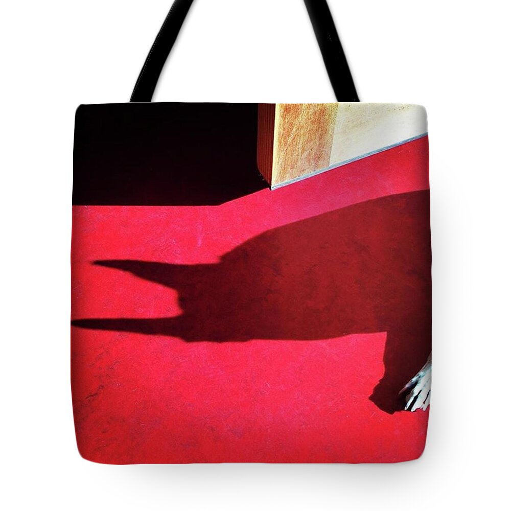 Dogsofinstagram Tote Bag featuring the photograph Zoe In The Afternoon Sun. #shadow by Ginger Oppenheimer