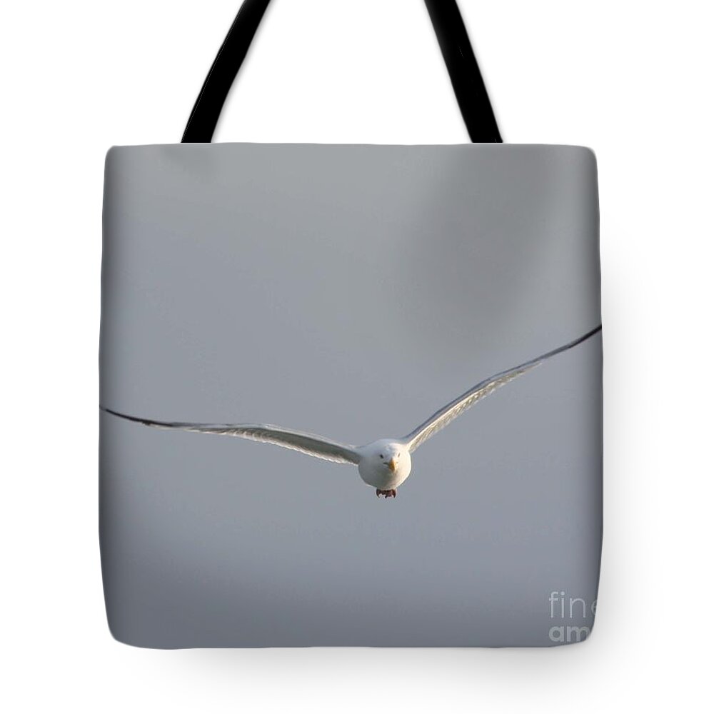 Zooming In Tote Bag featuring the photograph Zooming In by John Telfer