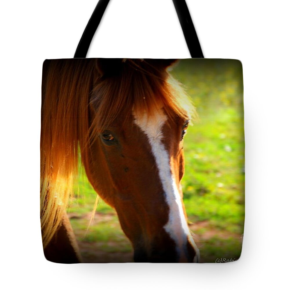 Horses Tote Bag featuring the photograph Zuni by Rabiah Seminole