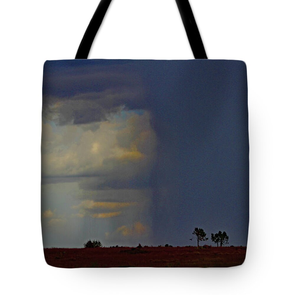 1/3 Nice Day At Payson Arizona Tote Bag featuring the digital art 1/3 Nice Day At Payson Arizona by Tom Janca