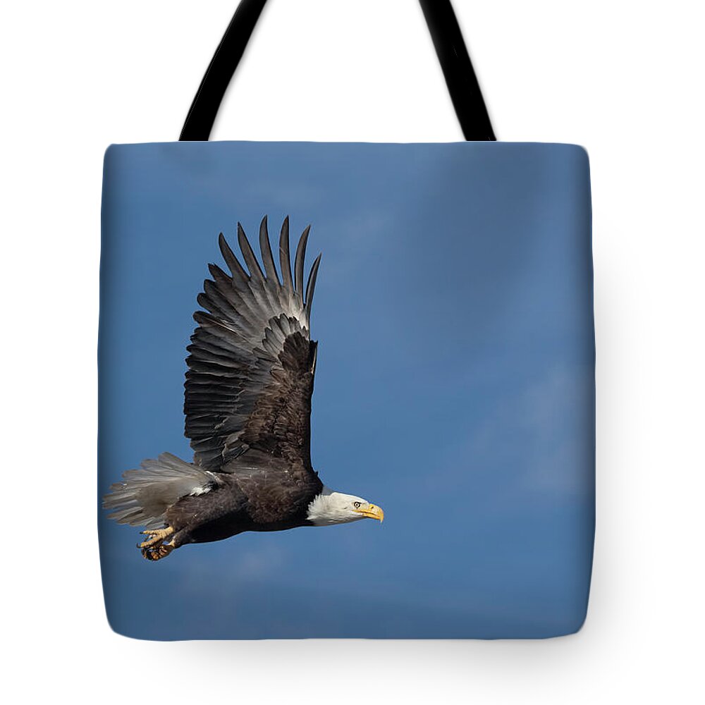 Raptor Tote Bag featuring the photograph American Bald Eagle in Flight #1 by Rick Mosher
