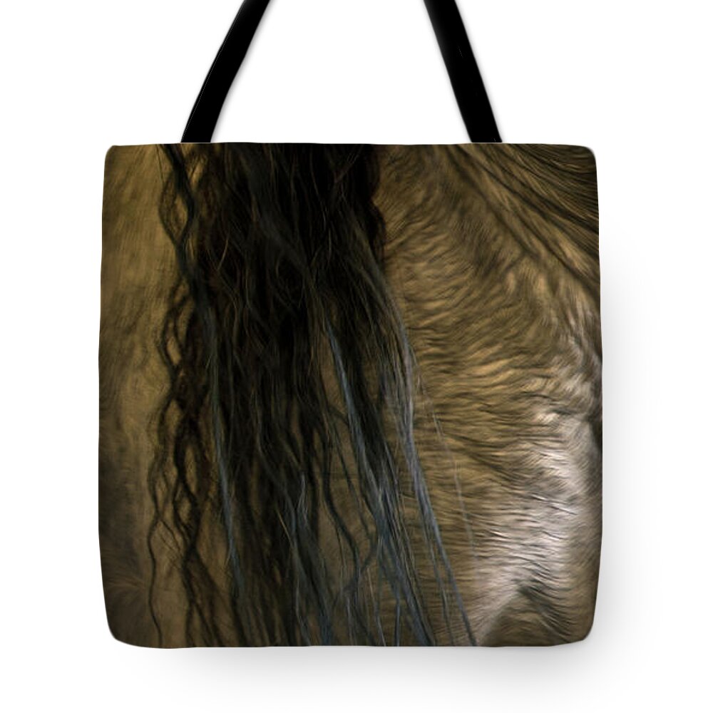 Andalusia Tote Bag featuring the photograph Americano 18 by Catherine Sobredo