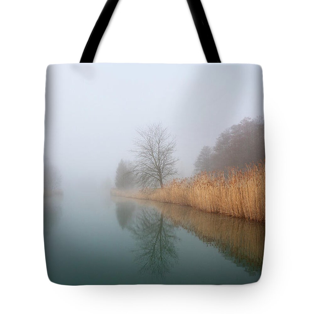 Tranquility Tote Bag featuring the photograph Austria, View Of Trees With Reed In #1 by Westend61