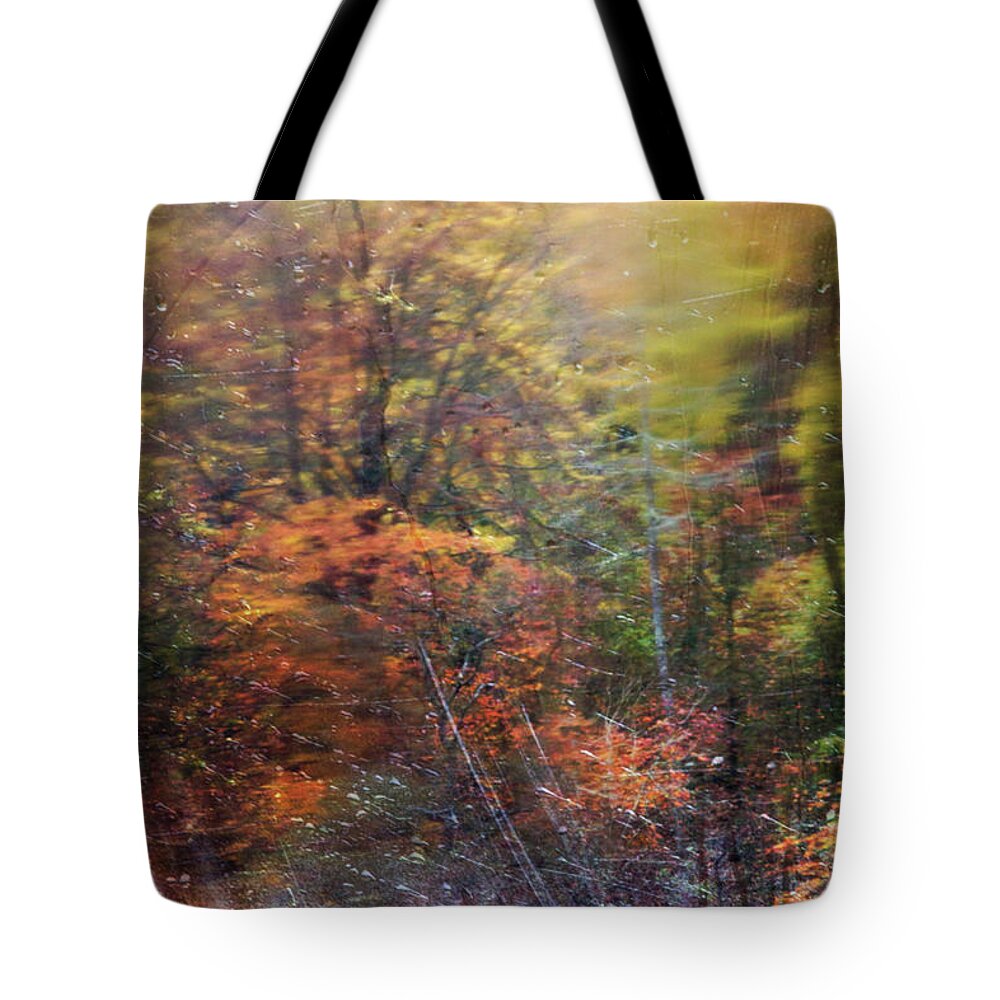 Abstract Tote Bag featuring the photograph Autumn In The Lake District - Lake Windermere In The Rain #2 by Anita Nicholson