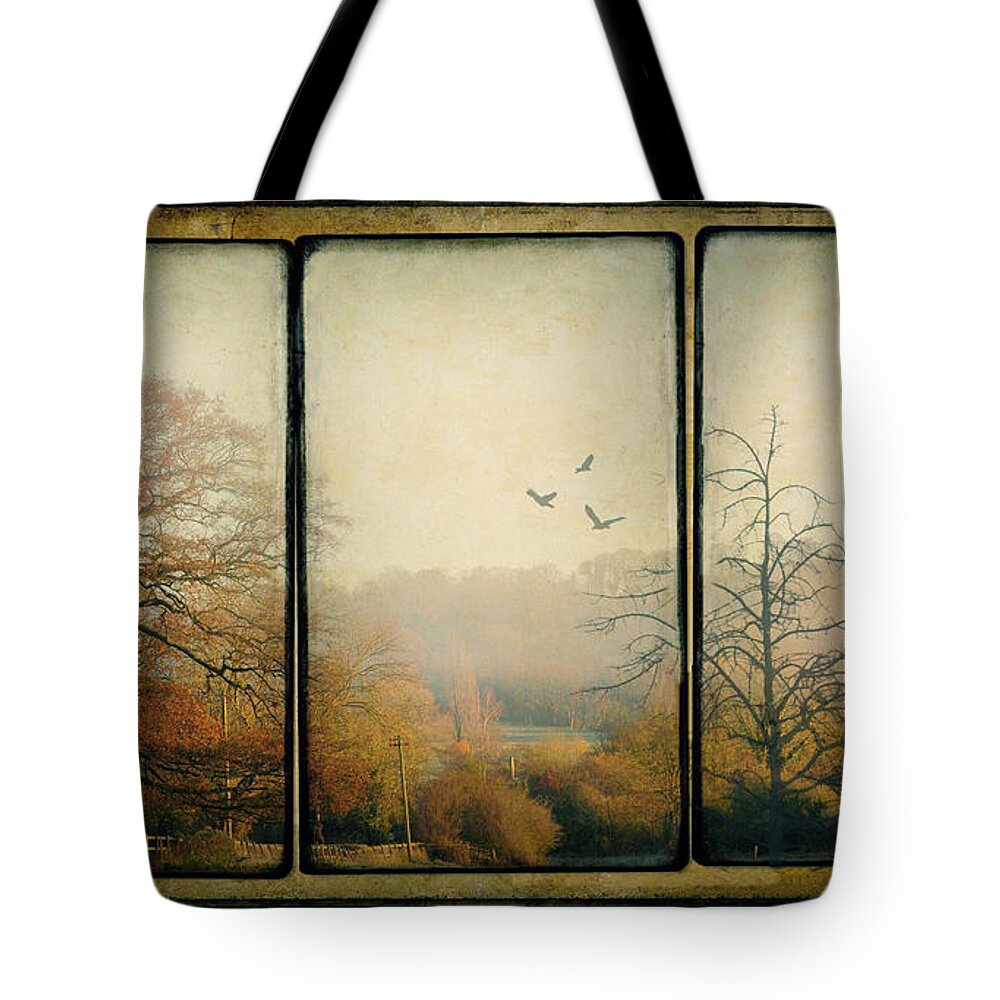 Triptych Tote Bag featuring the photograph Autumn #1 by Peggy Dietz