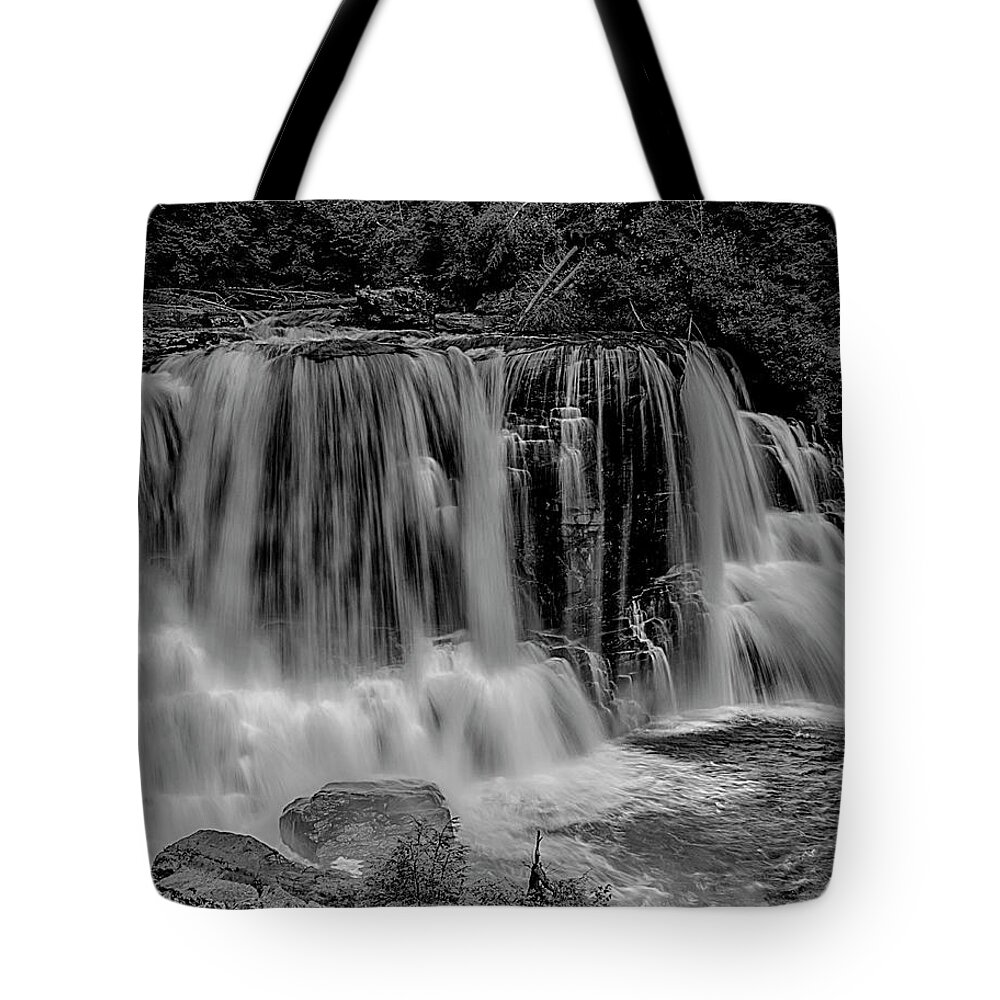 Waterfalls Tote Bag featuring the photograph Blackwater Falls Mono 1309 by Donald Brown