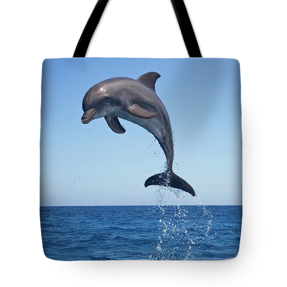 Animal Themes Tote Bag featuring the photograph Bottle Nosed Dolphin Jumping #1 by Mike Hill